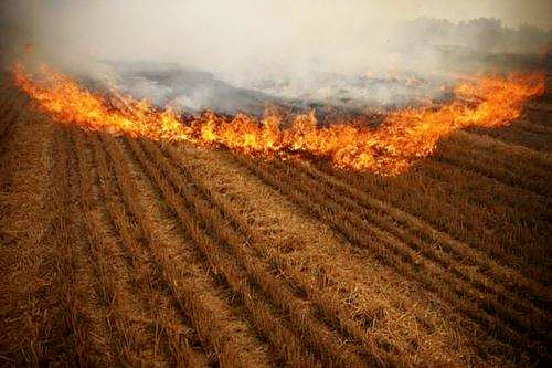 1540487305103185eLpz.jpg timg (5)_副本.jpg