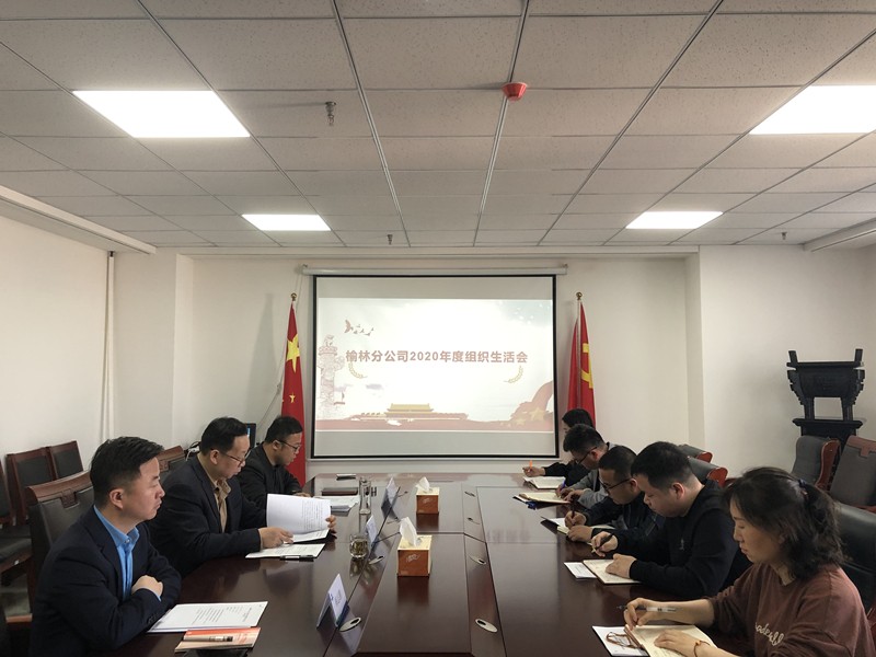 榆林分公司召開2020年組織生活會(huì)照片_副本.jpg
