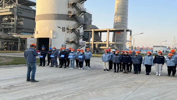 1637888035998043kPO6.png 綠能_副本.png