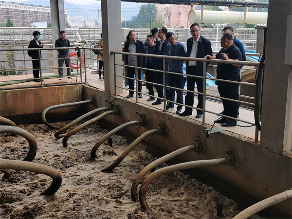 1663641186941999402u.jpg 1.jpg