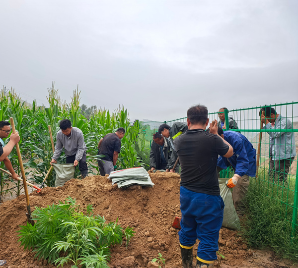 1754624496936266DsJX.jpg 防汛照片1_副本.jpg